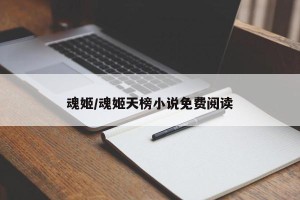 魂姬/魂姬天榜小说免费阅读