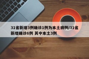 31省新增3例确诊1例为本土病例/31省新增确诊6例 其中本土3例